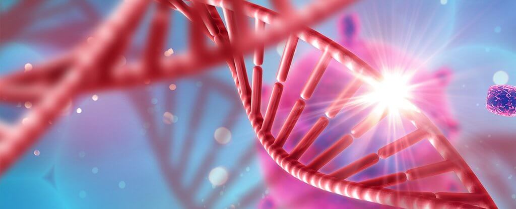 De biologie van de overtuiging | Mindinspirations